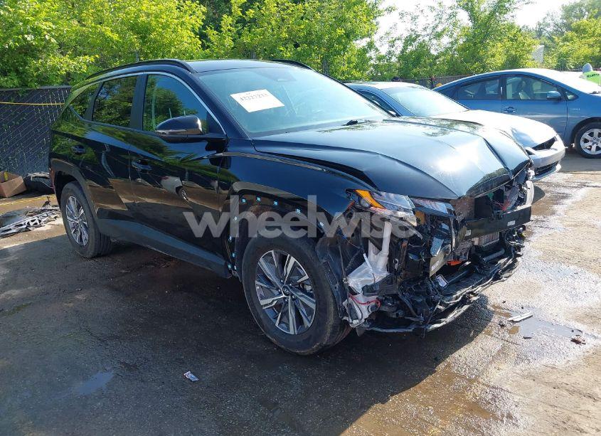 2023 Hyundai Tucson HYBRID BLUE (VIN KM8JBCA16PU087490) main photo