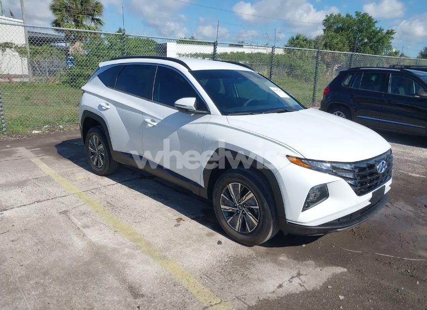 2022 Hyundai Tucson HYBRID BLUE (VIN KM8JBCA1XNU015625) main photo