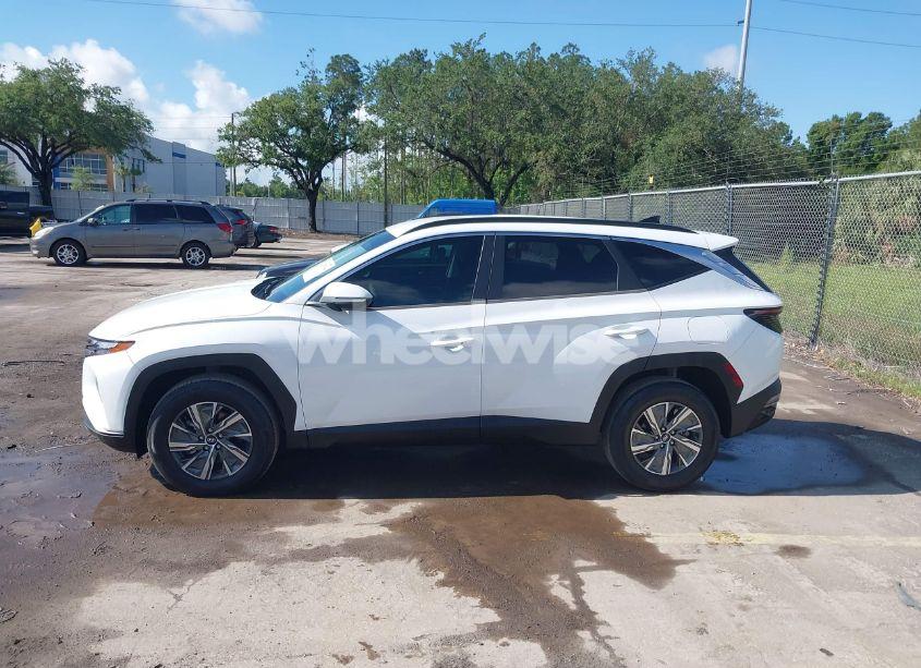 Photo 14 of 2022 Hyundai Tucson HYBRID BLUE (VIN KM8JBCA1XNU015625)