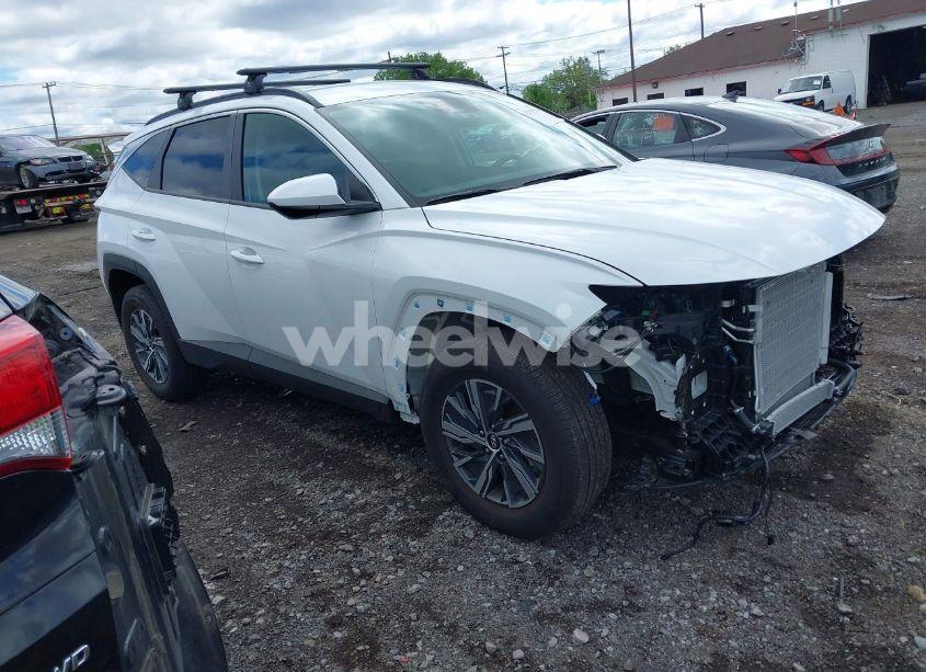 2024 Hyundai Tucson HYBRID BLUE (VIN KM8JBCD14RU239653) main photo