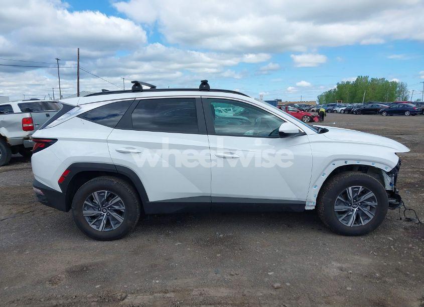 Photo 13 of 2024 Hyundai Tucson HYBRID BLUE (VIN KM8JBCD14RU239653)
