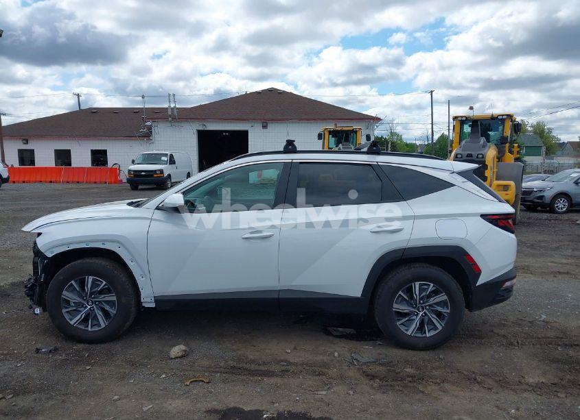 Photo 14 of 2024 Hyundai Tucson HYBRID BLUE (VIN KM8JBCD14RU239653)