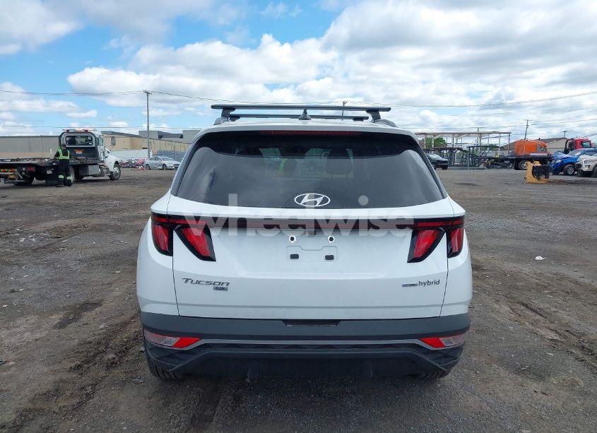 Photo 16 of 2024 Hyundai Tucson HYBRID BLUE (VIN KM8JBCD14RU239653)