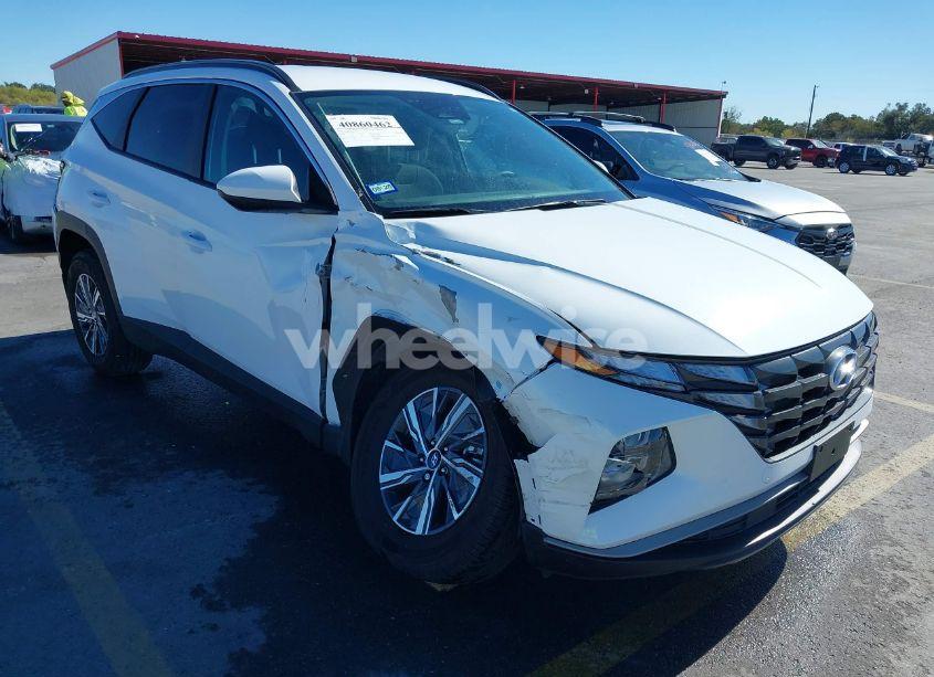 2024 Hyundai Tucson HYBRID BLUE (VIN KM8JBCD17RU213273) main photo