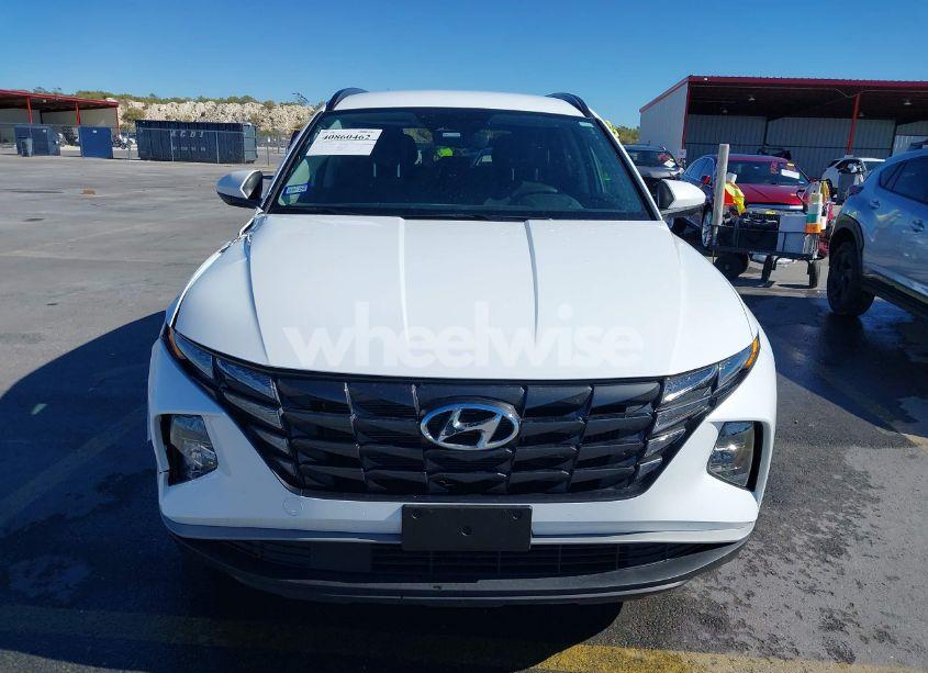 Photo 12 of 2024 Hyundai Tucson HYBRID BLUE (VIN KM8JBCD17RU213273)