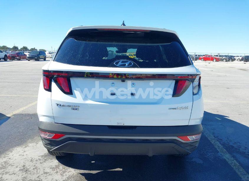 Photo 16 of 2024 Hyundai Tucson HYBRID BLUE (VIN KM8JBCD17RU213273)