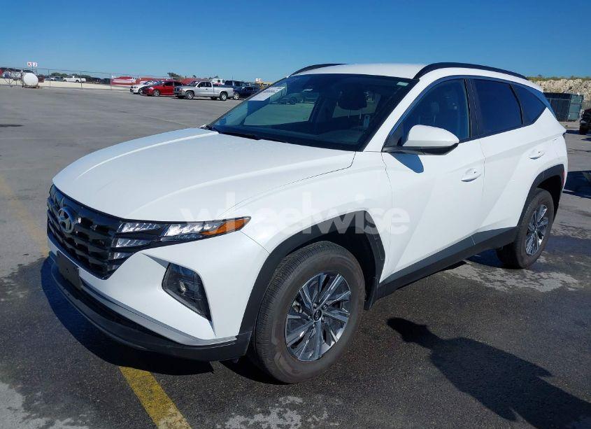 Photo 2 of 2024 Hyundai Tucson HYBRID BLUE (VIN KM8JBCD17RU213273)