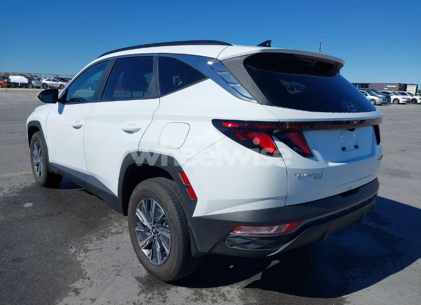 Photo 3 of 2024 Hyundai Tucson HYBRID BLUE (VIN KM8JBCD17RU213273)