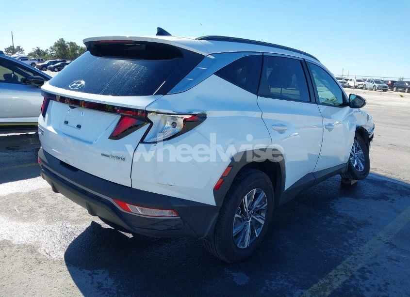 Photo 4 of 2024 Hyundai Tucson HYBRID BLUE (VIN KM8JBCD17RU213273)