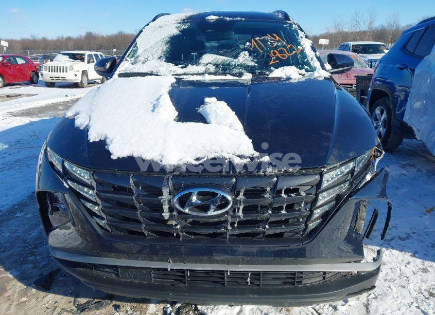 Photo 12 of 2024 Hyundai Tucson SEL (VIN KM8JBCDE3RU290841)