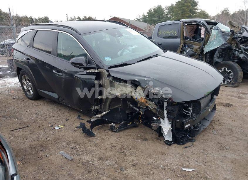 2024 Hyundai Tucson SEL (VIN KM8JBCDE8RU313983) main photo