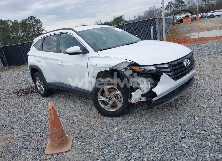 2024 Hyundai Tucson SEL (VIN KM8JBCDE9RU287541) main photo