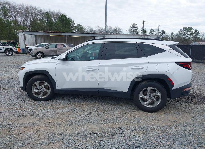 Photo 14 of 2024 Hyundai Tucson SEL (VIN KM8JBCDE9RU287541)