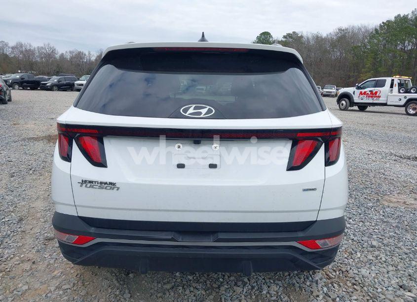 Photo 16 of 2024 Hyundai Tucson SEL (VIN KM8JBCDE9RU287541)