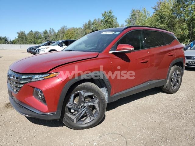 Photo 8 of 2023 HYUNDAI TUCSON LUXURY (VIN KM8JCCA19PU108409)