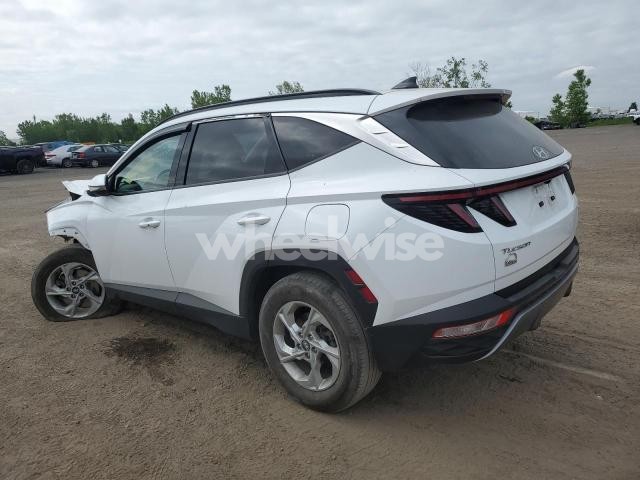 2022 HYUNDAI TUCSON SEL (VIN KM8JCCAE5NU145165) main photo