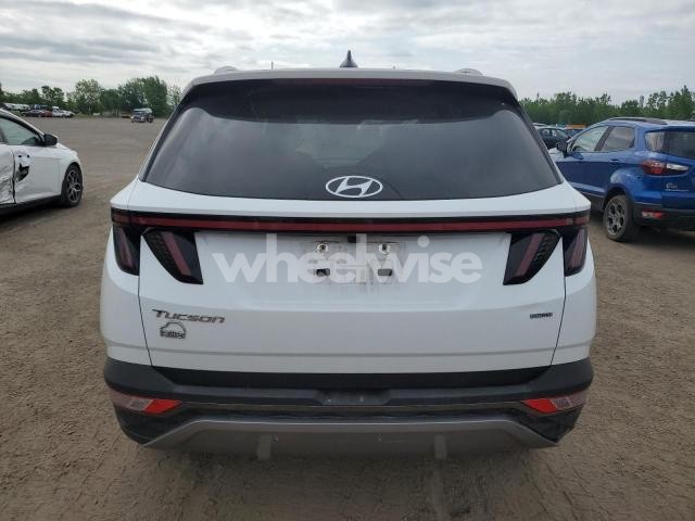 Photo 3 of 2022 HYUNDAI TUCSON SEL (VIN KM8JCCAE5NU145165)