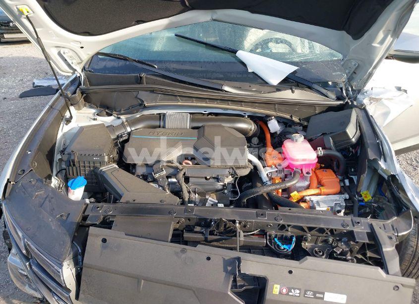Photo 10 of 2024 Hyundai Tucson HYBRID SEL CONVENIENCE (VIN KM8JCCD12RU174038)
