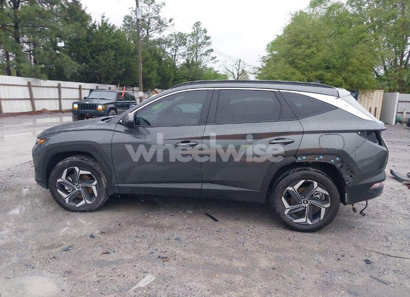 Photo 15 of 2024 Hyundai Tucson HYBRID SEL CONVENIENCE (VIN KM8JCCD14RU182268)