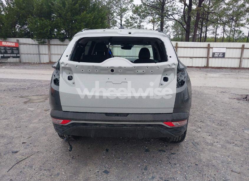 Photo 17 of 2024 Hyundai Tucson HYBRID SEL CONVENIENCE (VIN KM8JCCD14RU182268)