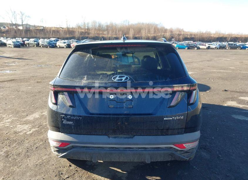 Photo 16 of 2024 Hyundai Tucson HYBRID SEL CONVENIENCE (VIN KM8JCCD17RU216722)