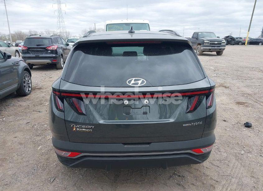 Photo 16 of 2024 Hyundai Tucson HYBRID SEL CONVENIENCE (VIN KM8JCCD18RU203400)