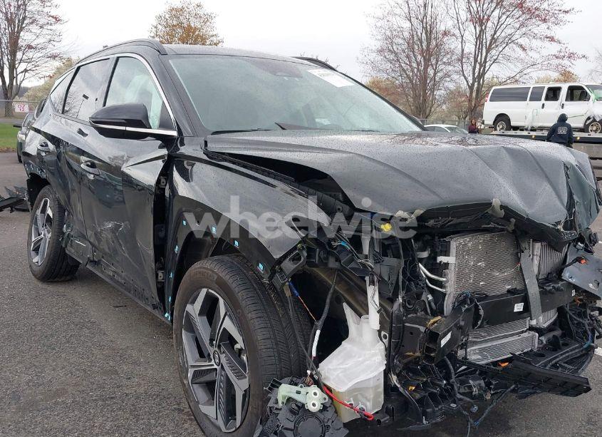 2024 Hyundai Tucson HYBRID LIMITED (VIN KM8JECD16RU189409) main photo