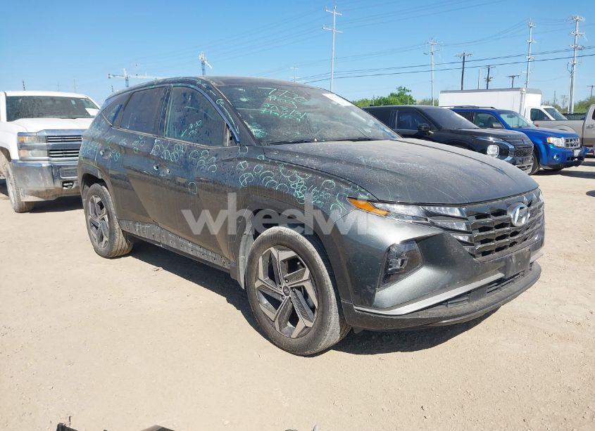 2023 Hyundai Tucson HYBRID SEL CONVENIENCE (VIN KM8JFCA15PU093558) main photo