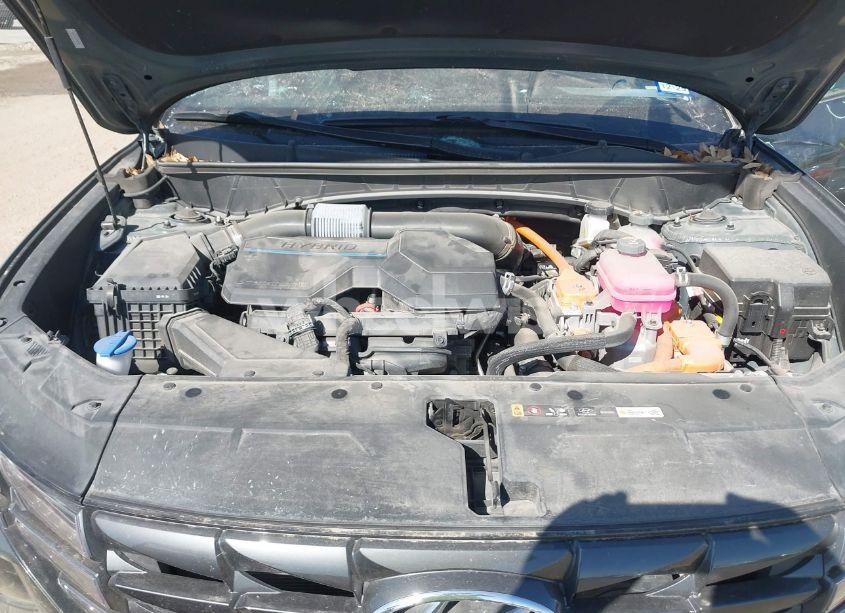 Photo 10 of 2023 Hyundai Tucson HYBRID SEL CONVENIENCE (VIN KM8JFCA15PU093558)