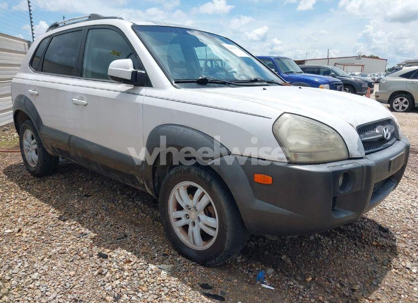 2006 Hyundai Tucson GLS/LIMITED (VIN KM8JN12D36U318316) main photo