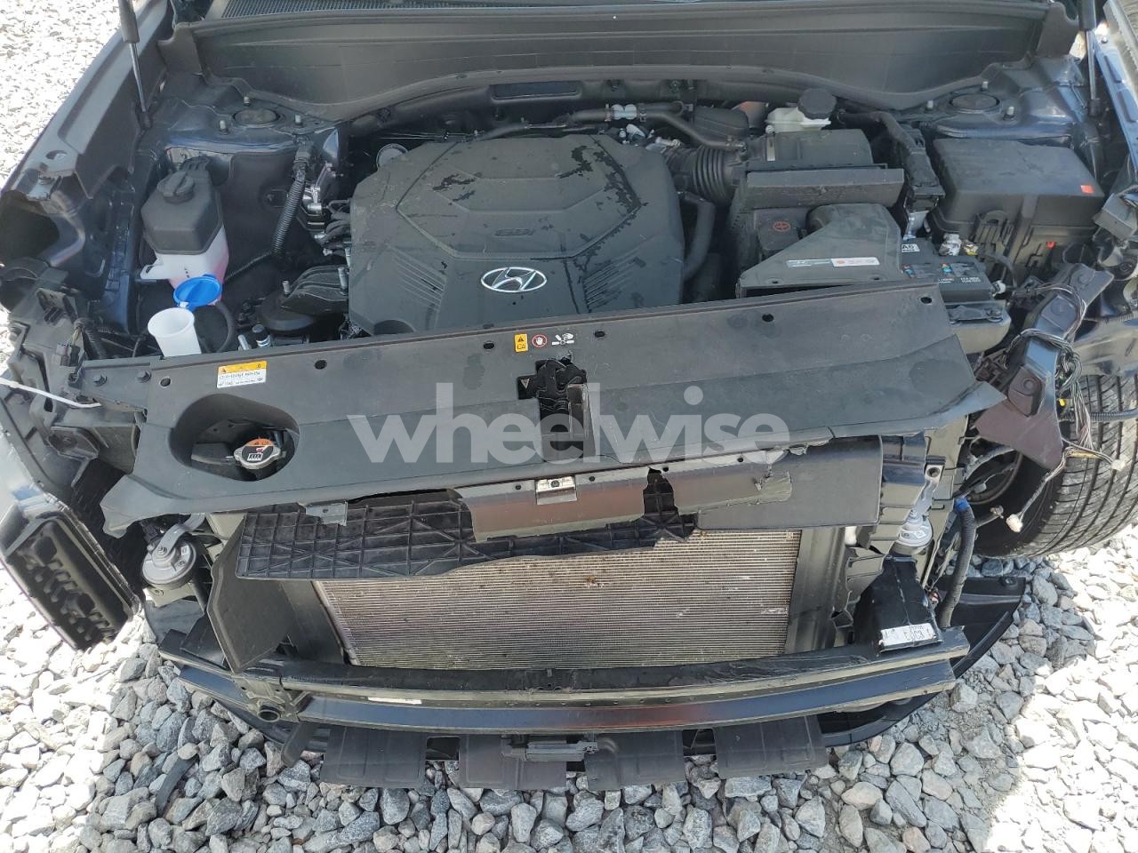 Photo 12 of 2025 HYUNDAI PALISADE SEL (VIN KM8R24GE3SU857995)
