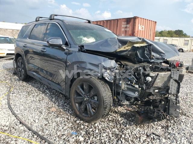 2024 HYUNDAI PALISADE XRT (VIN KM8R34GE1RU742643) main photo
