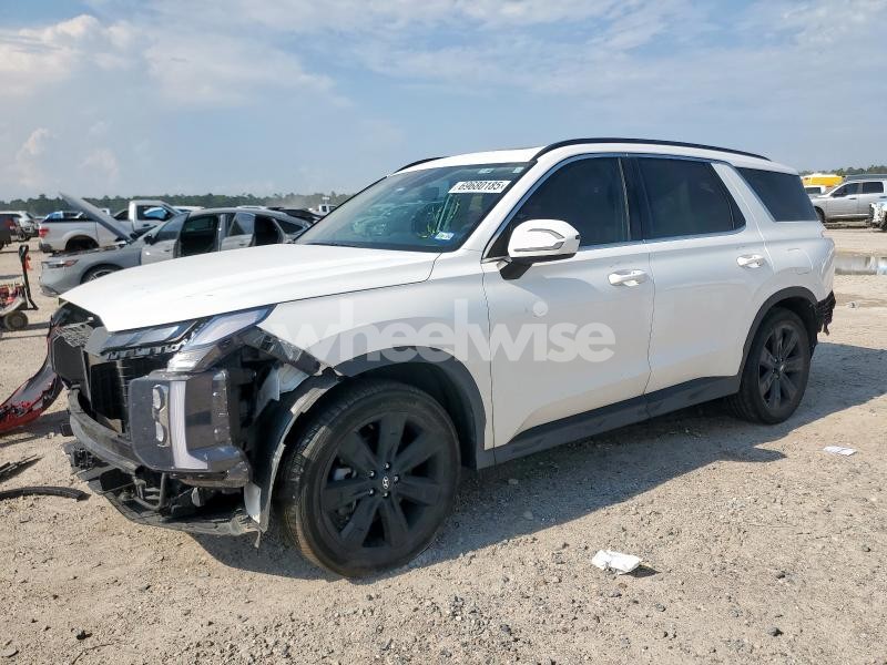 2024 HYUNDAI PALISADE XRT (VIN KM8R34GE1RU793723) main photo