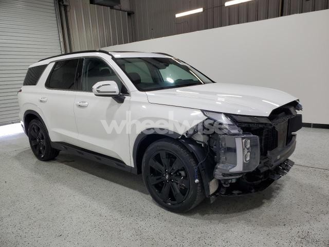 2024 HYUNDAI PALISADE XRT (VIN KM8R3DGE3RU689167) main photo