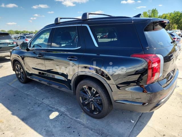 2023 HYUNDAI PALISADE XRT (VIN KM8R3DGE9PU489455) main photo