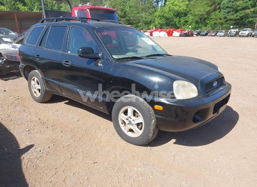 2004 Hyundai Santa FE (VIN KM8SB12B54U595588) main photo