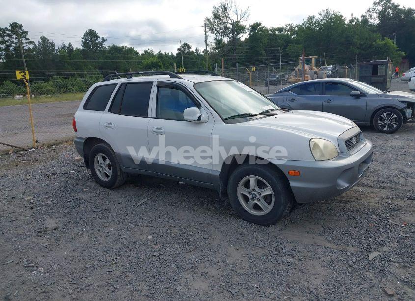2004 Hyundai Santa FE (VIN KM8SB12B74U758628) main photo