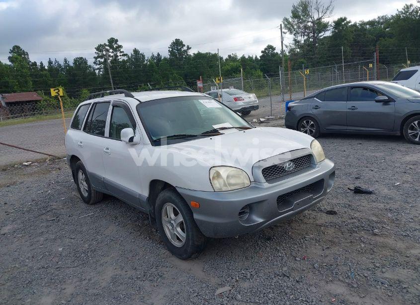 Photo 6 of 2004 Hyundai Santa FE (VIN KM8SB12B74U758628)