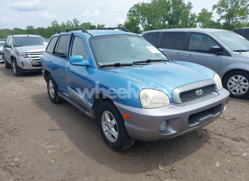 2004 Hyundai Santa FE GLS (VIN KM8SC13D04U815037) main photo