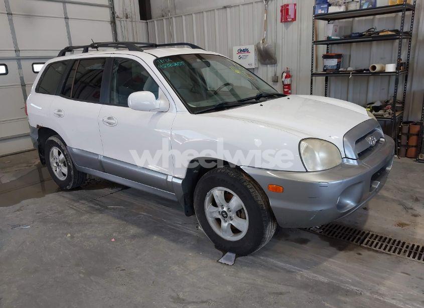 2006 Hyundai Santa FE GLS (VIN KM8SC13D26U098773) main photo