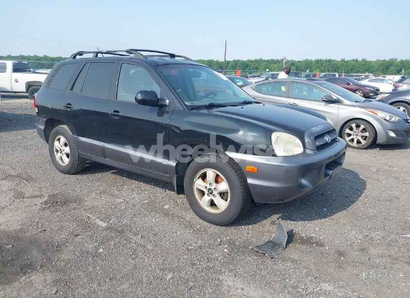 2006 Hyundai Santa FE GLS (VIN KM8SC13D36U099043) main photo