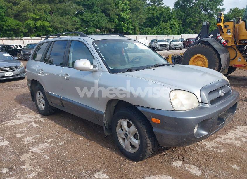 2006 Hyundai Santa FE GLS (VIN KM8SC13D56U032816) main photo