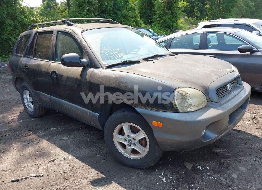 2004 Hyundai Santa FE GLS (VIN KM8SC73D24U840640) main photo