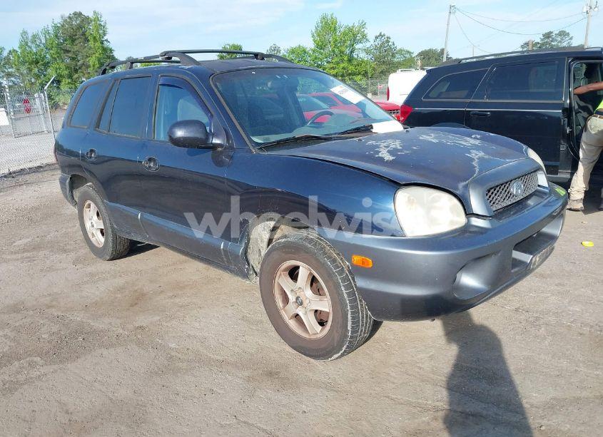 2004 Hyundai Santa FE GLS (VIN KM8SC73D84U841923) main photo