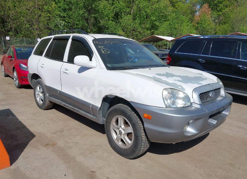 2004 Hyundai Santa FE GLS (VIN KM8SC73DX4U840014) main photo