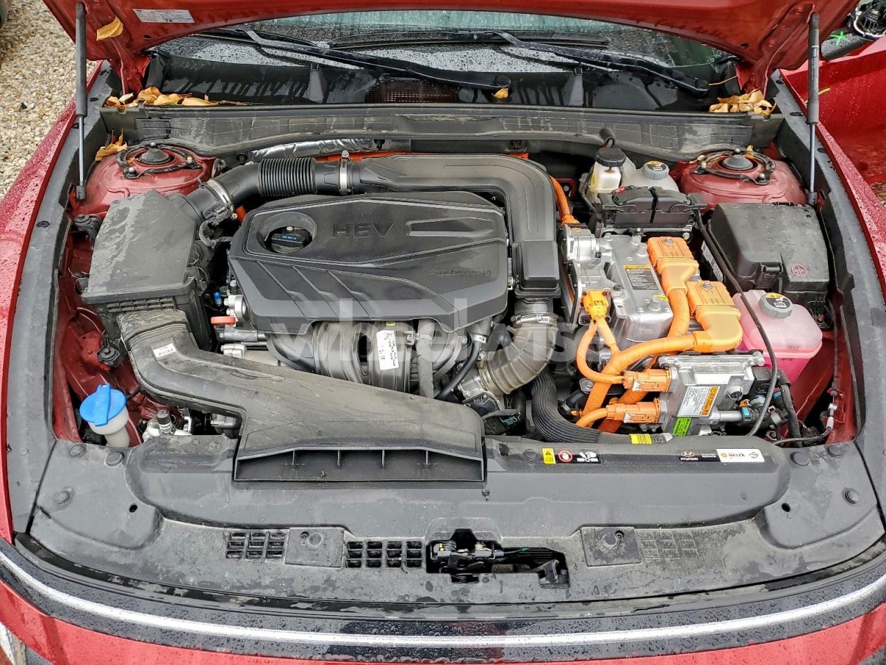 Photo 11 of 2025 HYUNDAI SONATA HYBRID (VIN KMHL34JJ6SA105055)