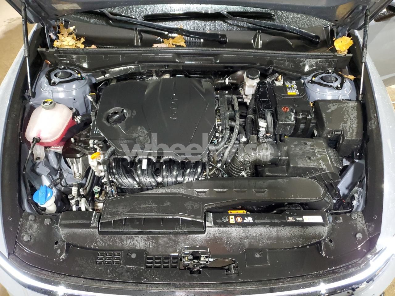 Photo 11 of 2024 HYUNDAI SONATA SEL (VIN KMHL64JA2RA398325)