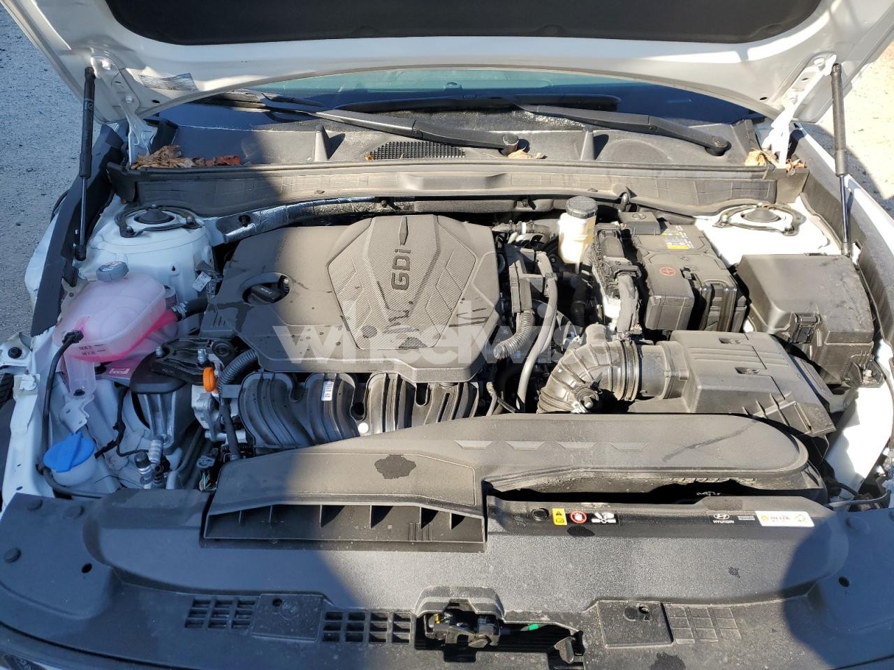 Photo 11 of 2025 HYUNDAI SONATA SEL (VIN KMHL64JA3SA473393)