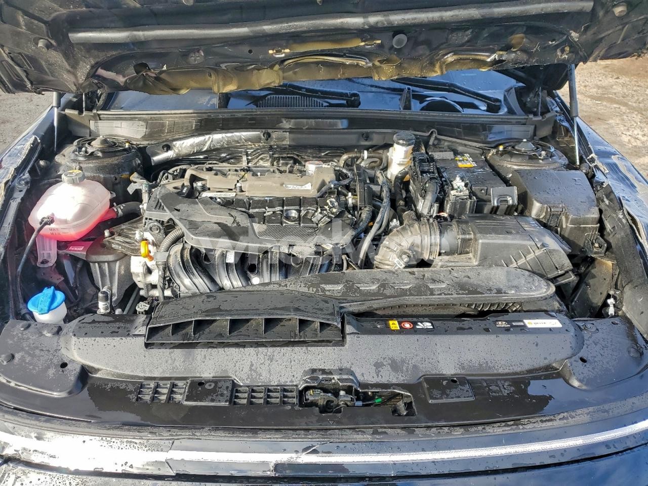 Photo 11 of 2025 HYUNDAI SONATA SEL (VIN KMHL64JA4SA465819)