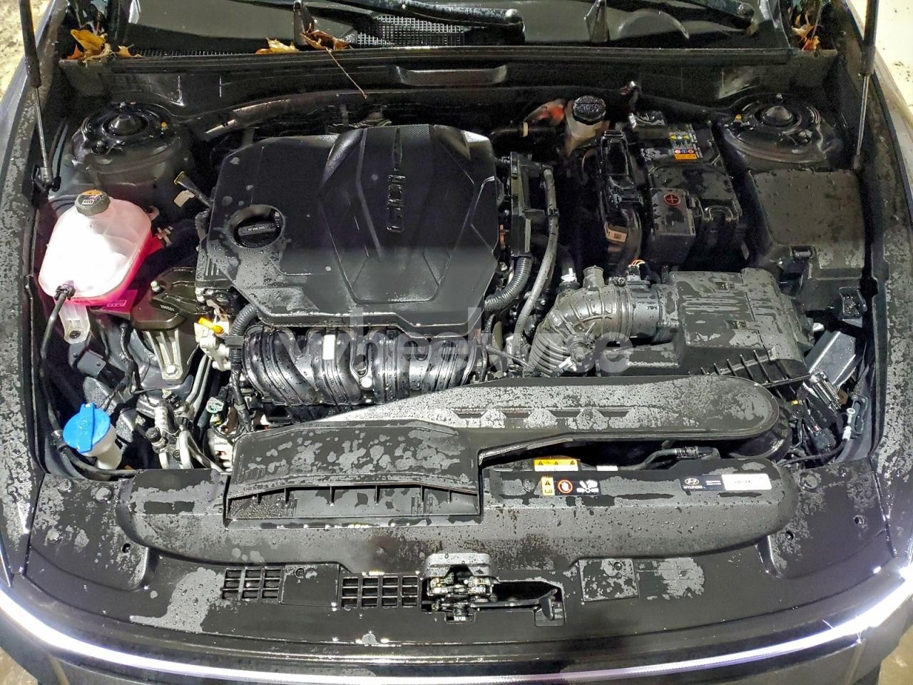 Photo 11 of 2025 HYUNDAI SONATA SEL (VIN KMHL64JA5SA500402)